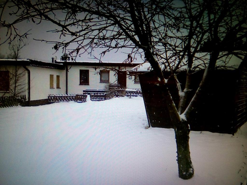 Haus Panoramablick Villa Medebach Exterior photo